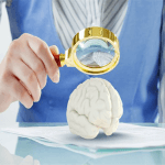 Funcionamento Cerebral e o Aprendizado